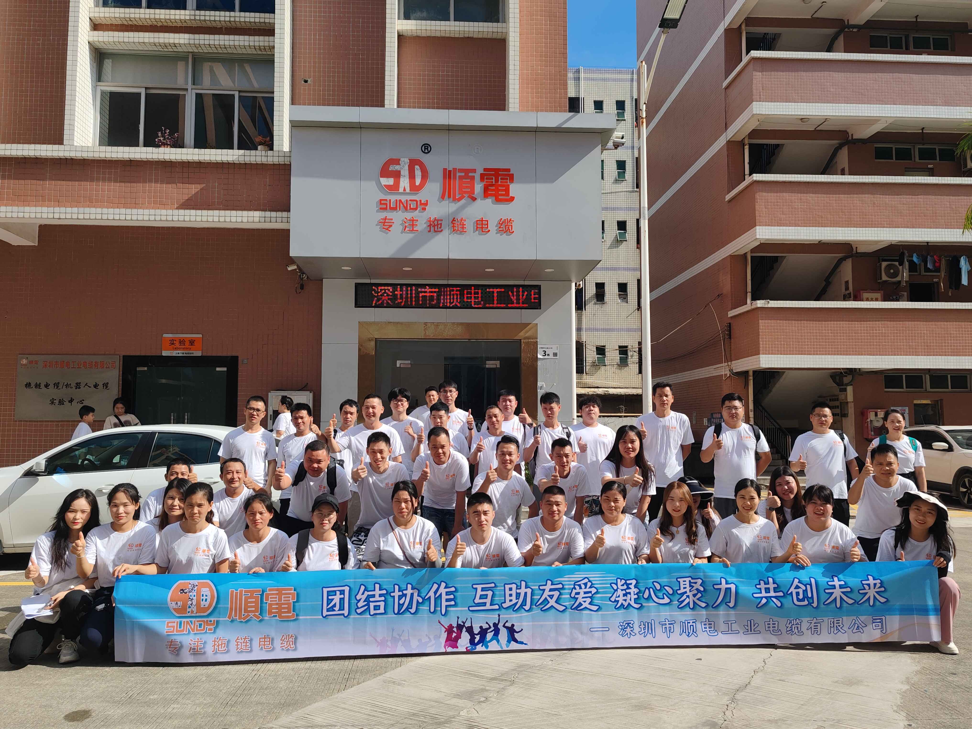 探索極致暢玩，順電獨(dú)特海島之旅！   